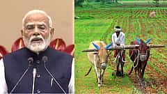 Food security: ಜಾಗತಿಕ ಆಹಾರ ಭದ್ರತೆಗೆ ಭಾರತವೇ ಪರಿಹಾರ- PM Modi